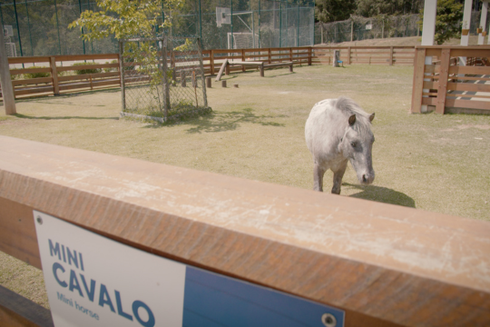 Infra - Indaiatuba (3)